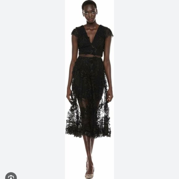 Dress The Population Black Lace Two Piece Lace Crop Top & Midi Skirt Size Small - Picture 1 of 16